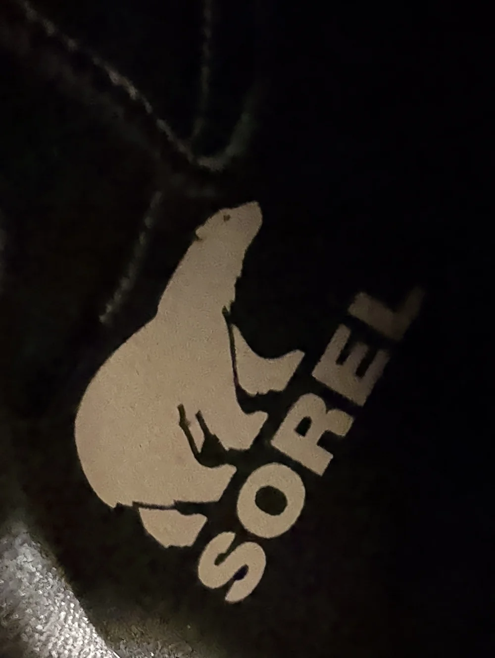 Sorel stylish ankle